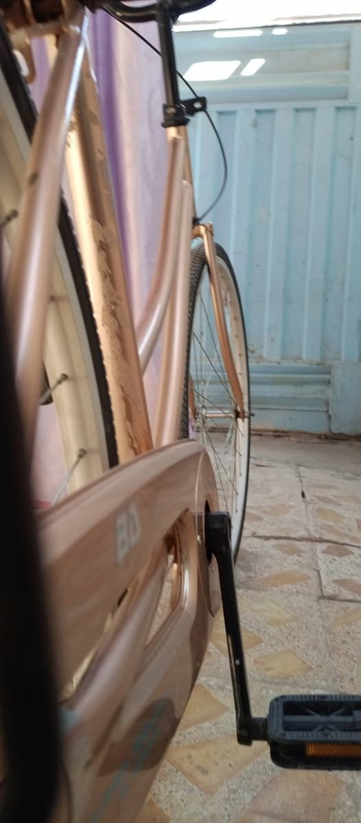 لبيع أو مراوس موديل 21 كفاله


**إذا كنت صاحب هذا الإعلان وتريد حذفه لأي سبب، رجاءا أرسل رسالة إلى الدعم الفني**