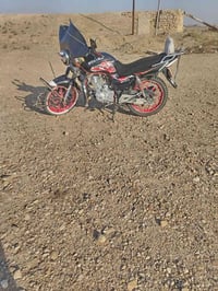 هايوشه • موديل ٢١ • بدون أوراق