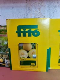 بطيخ فادو • مغلف • كميات كبيرة