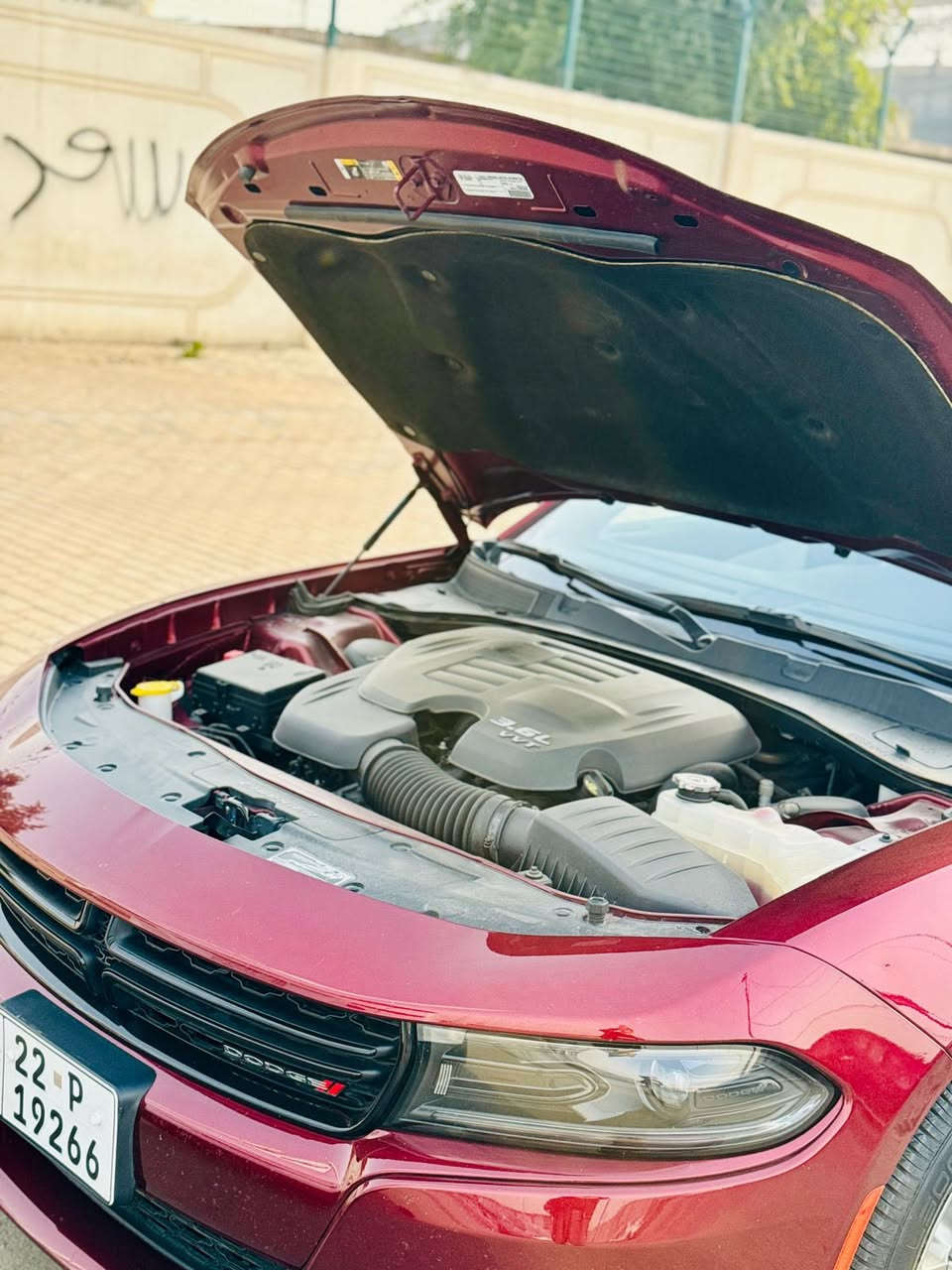 دوج تشارجر2023 
موصفات sxt
السياره ماشيه:mi23٫000
حادثها جاملغ خلفي جهت اليمين مصلح عل بارد السياره مكفوله من الصبغ فقط الدعاميه الخلفيه مصبوغه بدون ارباك السياره الداخل جلد ابيض السياره كلش جديده
كارفاكس (كلين)
للتواصل:***********
سعر السياره 27٫500$ بيها مجال
