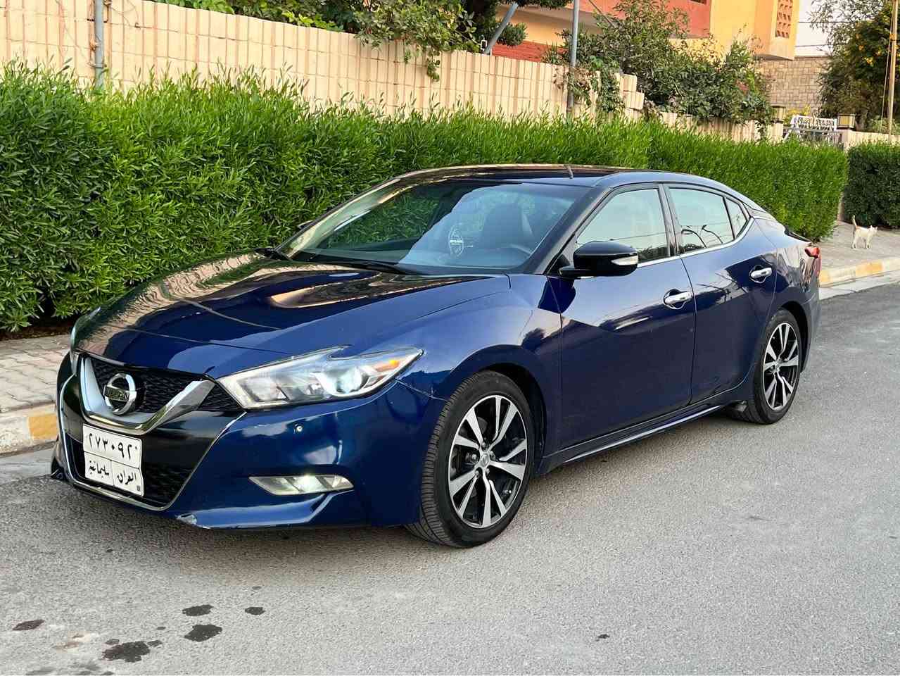 نيسان مكسيما   
موديل 2017 Sv
محرك V6 حجم 3500 
المواصفات :
3 انظمه قياده سبورت ايكو نورمال
كشن جلد
كشن كهربائي سائق + سكن
كشن هيتر سائق + سكن
تبريد قطعتين
حساسات اماميه وخلفيه
كاميرا خلفيه
شاشه كبيره
ويل حجم 18
تشغيل عن بعد
رادار
كروز سرعه
اشارات مرايا
اشارات ترحيب
ليدات اماميه
ماوس تحكم شاشه
بصمه تشغيل
بصمه ابواب
الضرر : بونيد صبغ + جامرلغ  
السيارة بسمي شرط التحويل او الوكاله
السعر 115 
مكان السياره : كركوك /شارع القدس
*********** كركوك, العراق
