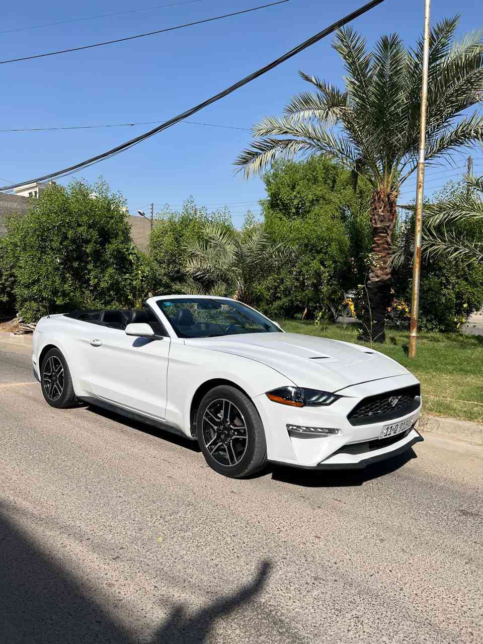 السلام عليكم
موستنك موديل ٢٠٢٣ لون ابيض 
 فول مواصفات قماره كشف 🏎️
محرك 4 سلندر توربو  و كشنات كهربائية وتحكم ستيرن و شاشة +كامره خلفيه 
حادثها بسيط بدون ايرباك 
صبغ بيها بس راس البنيد ورأس الجاملغ 
العنوان : بغداد -  السيديه 
رقم تلفوني للاستفسار واتساب 
‭٠٧٨٥ ٨٨٢ ٧٦٢٩‬‬
سعرها ١٧٤ ونص  
ترهم مراوس
