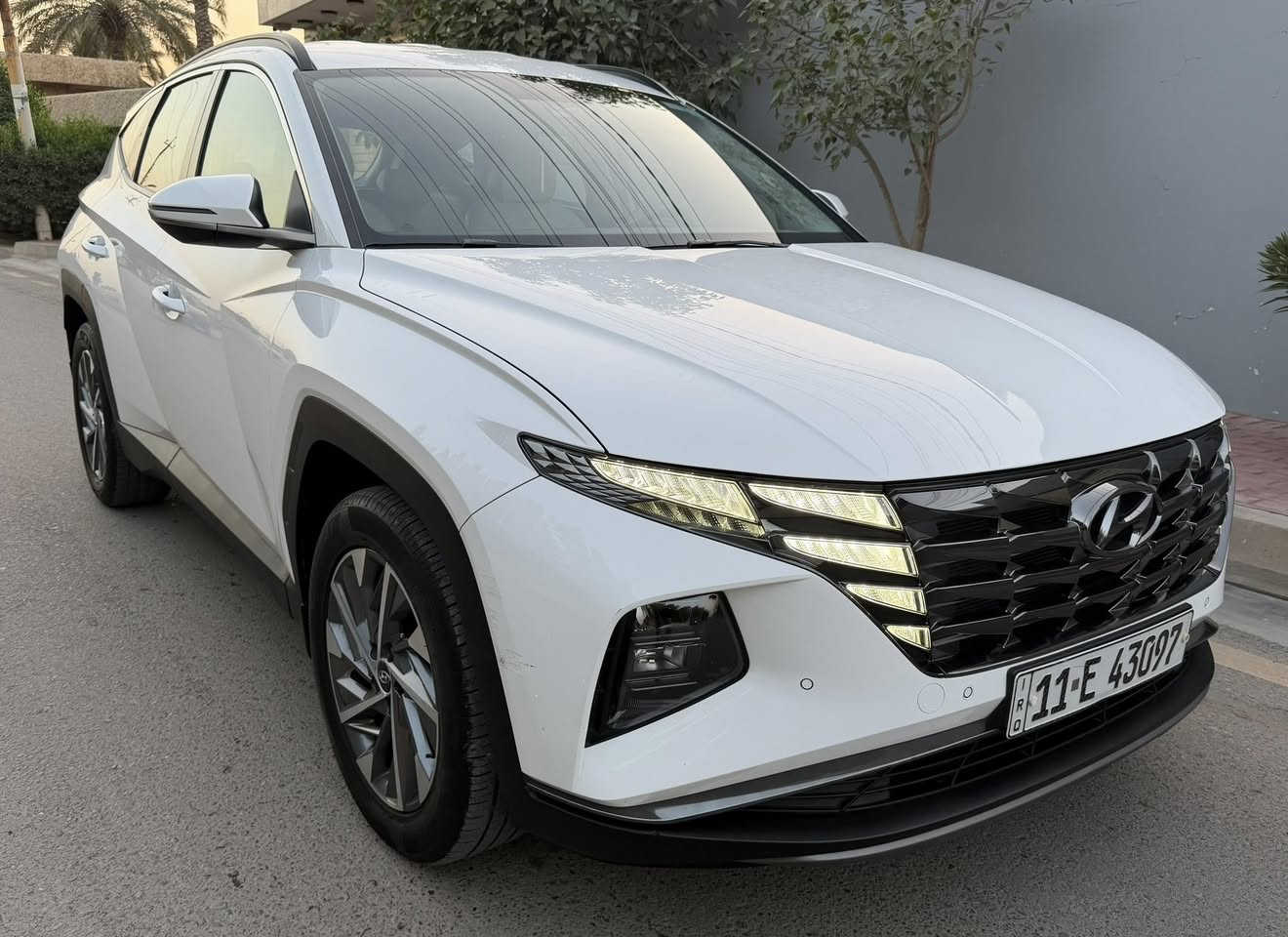 جمعه مباركه عليكم يارب
توسان 2024 خليجي مكفوله من صبغ والبارد والتبديل سياره بعدها عل وضع شركه تروح تفحص وين ميعجبك تحويل مباشر بسمك ماشيه 34 سبير شركه وغرضه بعدهم ممفتوحات بصمه جلد كراسي كهرباء فووول موصفات عده فتحه .. عنوان بغداد الاعضميه
السعر ...198.. قفل قفل قفل 
***********
