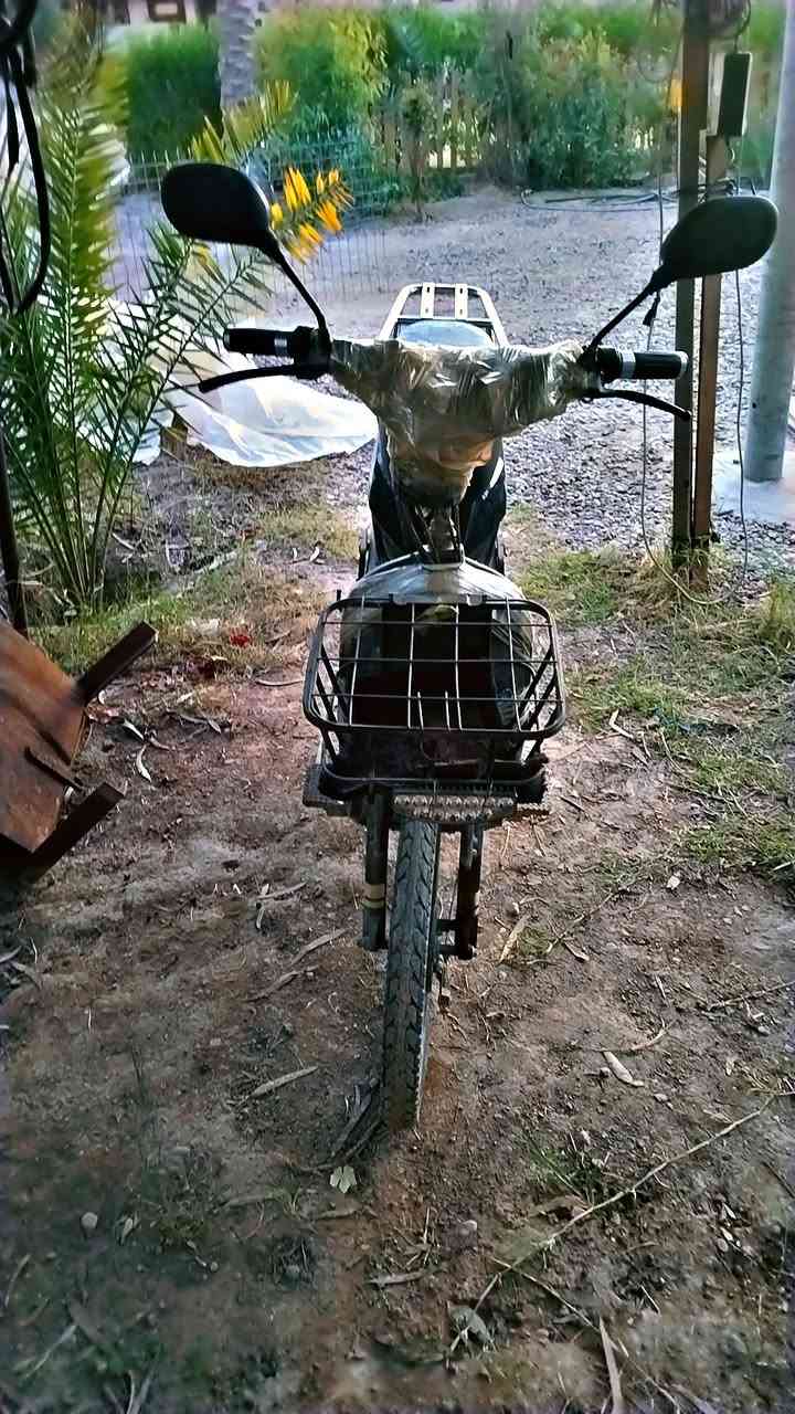 اسلام عليكم ورحمة الله وبركاته: ماطور للبيع فقط  بطاريات يرادله  ولباقي مثل ماواضح بصوره   السعر 200الف   مكان صقلاويه شهداء ثانيه الخاص مفتوح للشراي 

المو شراي لايعامل حبايب گلبي


**إذا كنت صاحب هذا الإعلان وتريد حذفه لأي سبب، رجاءا أرسل رسالة إلى الدعم الفني**