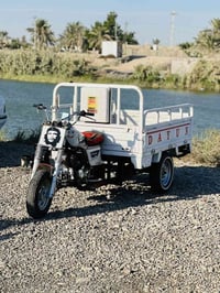 ستوته ٢٠٢٠ • اوراق اصولي • سوق شيوخ