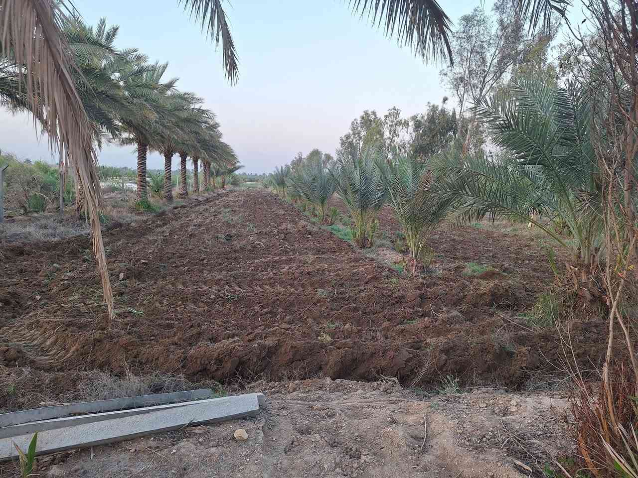 سلام عليكم ٧دونم  في كربلاء طابو سند ٢٥ وجهن٧٥متر وياهن بيت  للبيع طريق كربلاء نجف طريق ياحسين وتنزل ٢ كيلومنطقه الجذارخدمات كامله شارع تبليط عرضه ١٢ متر  مي كهرباء خط مولد مدارس التفاصيل اكثر اتصل ***********
 ***********
