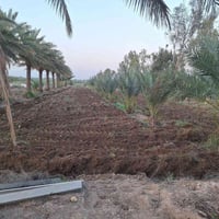 ٧ دونم • طابو سند • خدمات كاملة