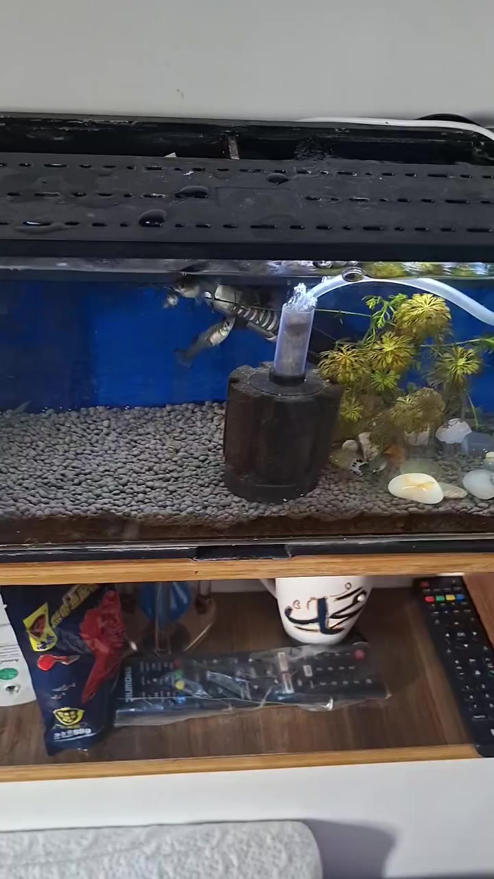 للبيع بيش مجان ابيعه اعله سعر


**إذا كنت صاحب هذا الإعلان وتريد حذفه لأي سبب، رجاءا أرسل رسالة إلى الدعم الفني**