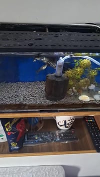 بيش • مجان • أعلى سعر