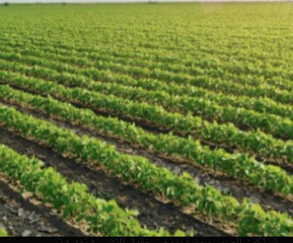 السلام عليكم
فرصةاستثمار $$$$
للبيع (25 )دونم ارض زراعي سند( 25 )
طابو المحمودية:
بغداد @
منطقة( المكاسب)
قرب اسويب
بسعر مناسب//////
تصلح للمخازن او :دواجن اوقطع :سكني تقطيع مخدومة ماء وكهرباء ومجاري
علماتحتوي على ثلاثة
بيوت في وسط الارض
للاستفسار واتساب
 ***********
***********
