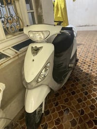 ماكس منغولي • سلف • كهربائيات