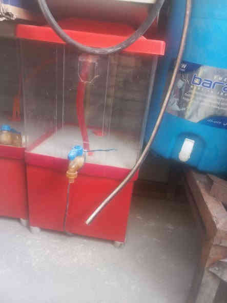 عندي كرسي ١٥ سعر واحد ٦٠٠٠ تلاف عندي طبلات ١٠ سعر واحد ٤٠٠٠ ألف عندي خلاطات شربت  البيع  سعر واحد ٥٥٠ ألف عندي ميوزه حديد ثقيل سعر واحد ٣٥ ألف عندي ٥ مكان بغداد لأمين أسكينه مكلف بل نشر مراسلت صاحب رقم عله واتساب أو رصيد ***********
