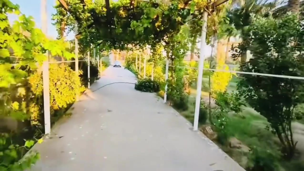 سلام عليكم توجد مزرعه طابو صرف ع طابو الكاضميه جاهزه من كلشي المساحه   2500متر مكانه التاجي جرف الملح السعر خاص  او الاتصال بالرقام ***********/***********
