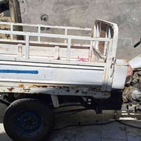 ستوته • شغاله • نصر