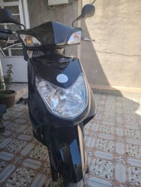 سكنس فحل • نوزل • ٢٠٠٩