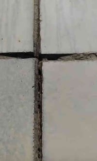 بما انو الجو ممطر وداخلين موسم امطار صروري تجيك سطحك اذا جان سطحك هيج ...