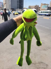 باب الشرقي • ضفدع كامل • كرمنت