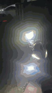 ماكس اف اس دراجه لوك جديد سلف هندر كهربيات كامل  شغال مكينه كبس برغي نقص مابيها دبل واحد ياباني كرتون دراجه فول تزويد الصالنصا اي اج ئي چملغ دبل يدات بريك يدة سكليتر كلجات كلش رياضي  كلجات دبليو اف و بلادي موجود صالنصه بلادي موجود بالنزبه قوة شلعه معدل فول فول دراجه سعره 700 وبي مجال
لطيبين مكاني  كركوك رحيماوة ***********
