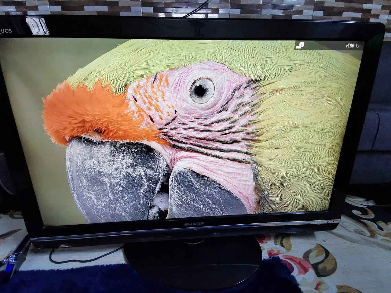 سلام عليكم عندي شاشه نوع شارب ماليزي اصلي حجم 40 نظيف جدا بدون نت السعر 140 الف  العنوان البياع حي الرساله الأولى قرب مدينة العاب الكرخ ***********
WhatsApp +964***********
