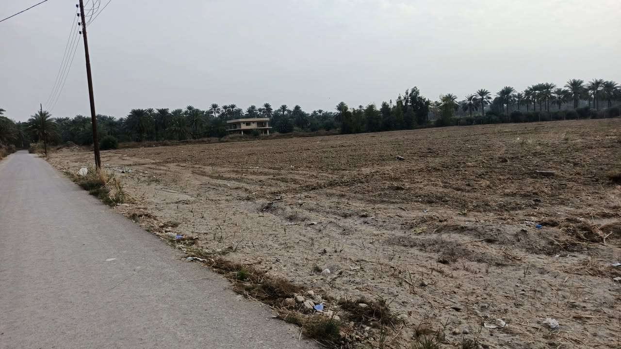 سلام عليكم خمسة دونم البيع طابو صرف
انبيع حسب طلب الموقع يرهم مزرعة او سكن 
خدمات كامله ماء كهرباء تبليط
فتح بيان مباشر
العنوان المدائن منطقة جعاره شارع سيد علي 
الاستفسار اتصال برقم ***********
#
