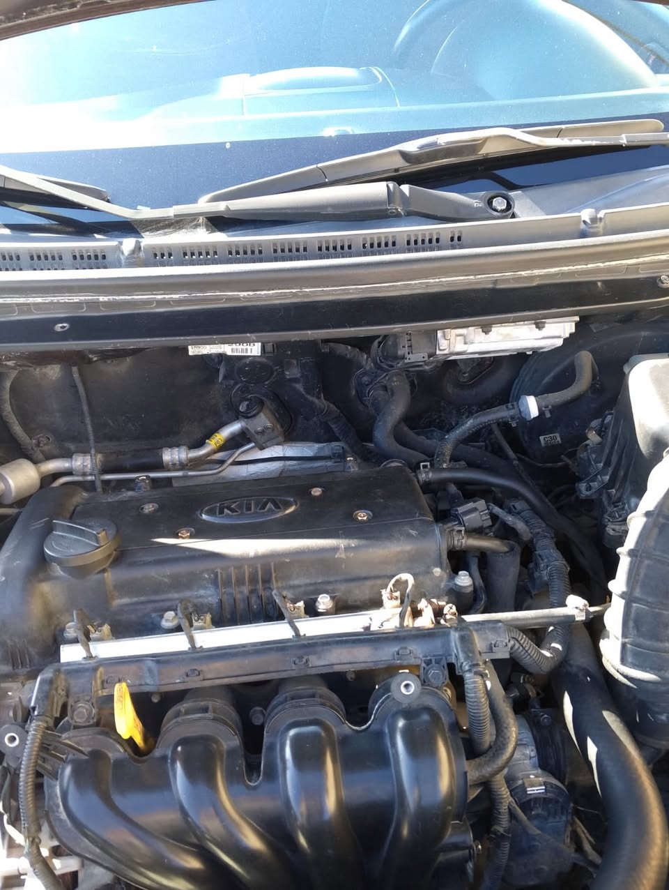 السلام عليكم
سيراتو للبيع موديل 2011
السياره خليجيه 
رقم سليمانيه جديد
السنوية بأسمي نافذه 
تبريد خير من الله 
صدر جديد زوج تايرات امامي جديد
القماره جارده بس يرادلها صبغ 
السياره بيها قطعتين صبغ 
تريد سونار ماكو مشكله
وشخوط بالباب خفيفات ميبينن
والباقي كفاله السعر ٩٣ وبيها مجال 
المكان بغداد سلمان باك المدائن
***********للأستفسار
