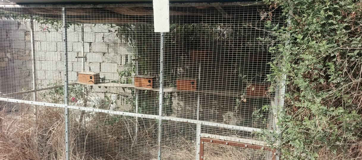 قفص للبيع الطول 3 متر والعرض متر ونص والارتفاع 2 متر شغل درجة أولى غير مستخدم مكاني المحاويل البدع


**إذا كنت صاحب هذا الإعلان وتريد حذفه لأي سبب، رجاءا أرسل رسالة إلى الدعم الفني**