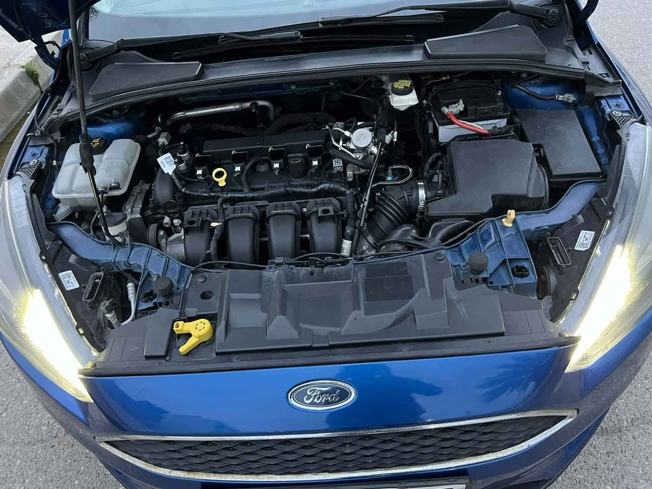 فورد فوكس 2018 وضع شركه شرط من الدعاميه للدعاميه SEL
كير شركه 
محرك جديد 
ماشيه 110
هزه سنوية رقم جديد 
ضرر بوند صبغ بدون دواخل ويربك 
مكان السياره موصل 
سعر 108 وبي مجال 
0770594851


**إذا كنت صاحب هذا الإعلان وتريد حذفه لأي سبب، رجاءا أرسل رسالة إلى الدعم الفني**