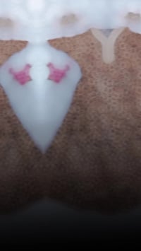 دشداشة نسائي • توصيل داخل الزعفرانية