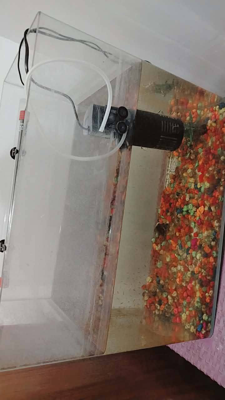 حوض اسماك ستعمال مرى واحدة سبب البيع ماتن سمجات سعر 30 
***********
