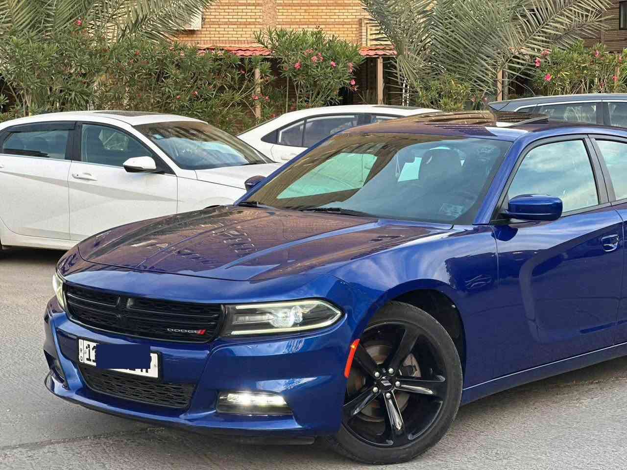 دوج جارجر ٢٠٢٠ 
السيارة كلين. كفاله عامة 
بدون صبغ بدون بارد بدون تبديل
حتى الدعاميات مكفوله
فول مواصفات 
فتحة سقف سلايد
جلد بلادي
كراسي كهرباء
تبريد كشنات
تدفئة كشنات
مرايات قلاب
هيتر ستيرن
كراسي خلفية تدفئة
السعر ٢٥٨
الشراي يتصل اعتذر عن الرد على المسجات
*********** بغداد, العراق
