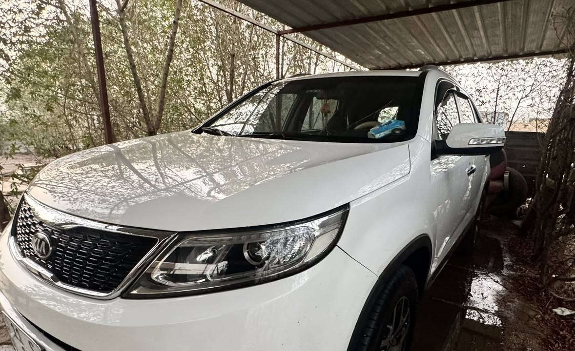 السلام عليكم 
سورنتو 13 شكل 15 
ماشية 98 حقيقي

رقم بغداد الجديد 
مكينة 2400
7 راكب 3 قطع تبريد

تدفئة تبريد .. حساسات امامي خلفي .. نظام اقتصادي
تخم تاير ياباني جديد
مري شفط + اشاير
كشنات جلد + كشن السايق كهربائي 
مكفولة گير مكينة تكم شواصي 
بيهه بارد بسيط + صبغ اسفل البابين عكس السايق بسبب شخوط 
السعر 162 وبيهه مجال 
بغداد / ***********
