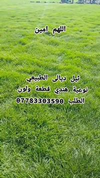 ديالى • زراعة ثيل • ثيل امريكي