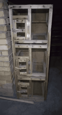 سلام عليكم متاح خانات جدد للبيع
خانه ام لثنين العدد 3
خانه ام تلاته العدد 4
خانه ام تلاته جراره العدد 2 مكاني بغداد مدينه الصدر رقمي ***********
