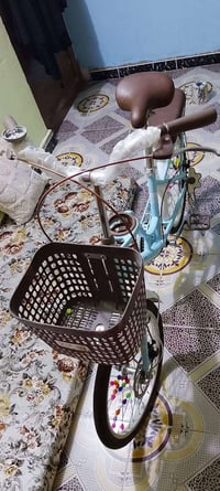بايسكل • حجم ٢٠ • قرب مجسر زيوت