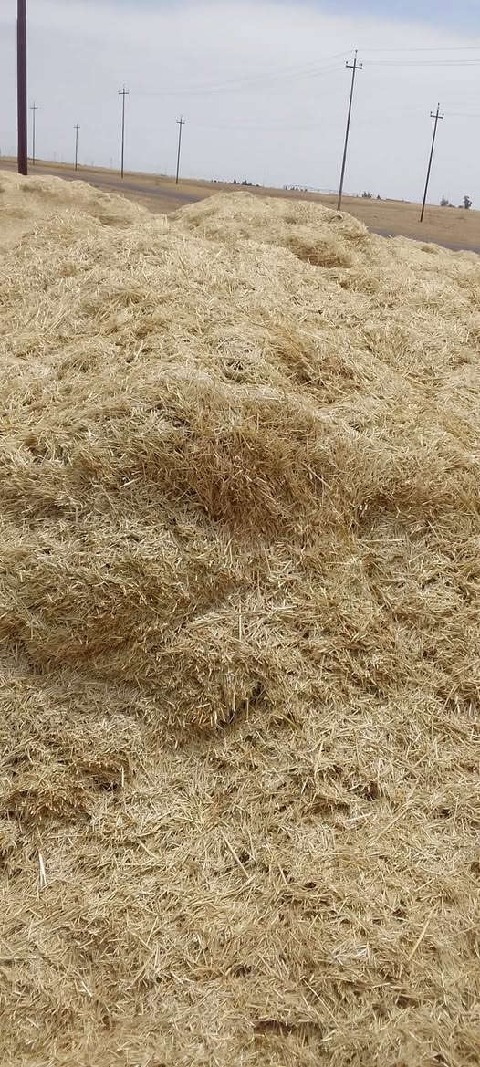 السلام عليكم يوجد تبن جديد مال السنه راس كوم حجم الكيس 60 سعر الزواج 3الاف يوجد توصيل مجاني دجيل بلد الضلوعية تكريت سامراء الاسحاقي رقم التلفون ***********

