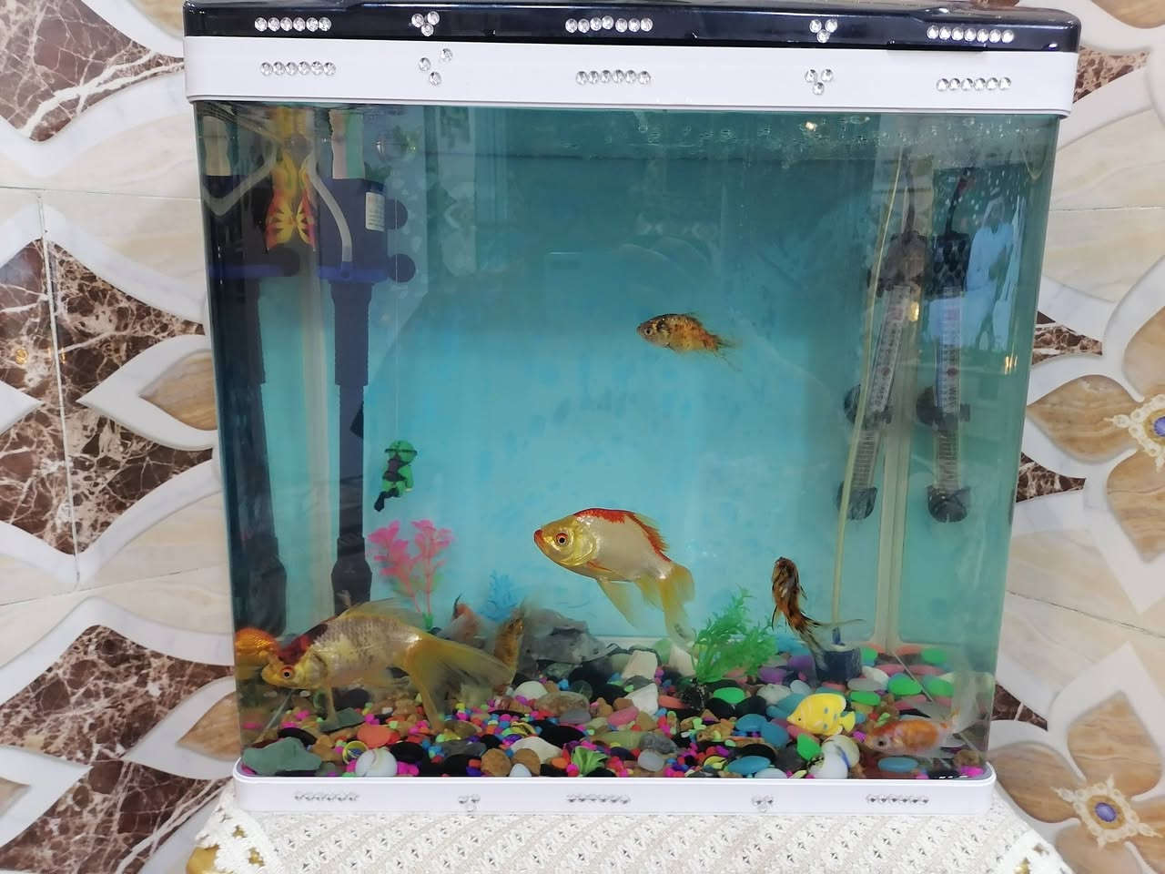 سلام عليكم حوض لبيع حجم ٤٦ سنتيم مع ملحقتيها كامل رقم الهاتف ***********
