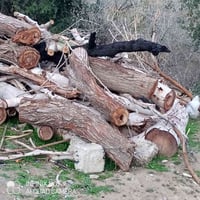 حطب يابس • حطب للبيع