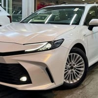 محاويل • جامعة المستقبل • خط مواصلات