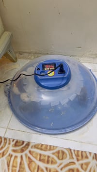 فقاسه للبيع 26بيضه طلعت منها وجبتين جبتها 95قيم بليرضه الله واخذها 078...