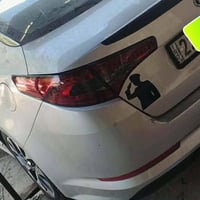 اوبتمه 2013 • بانوراما • كشنات جلد