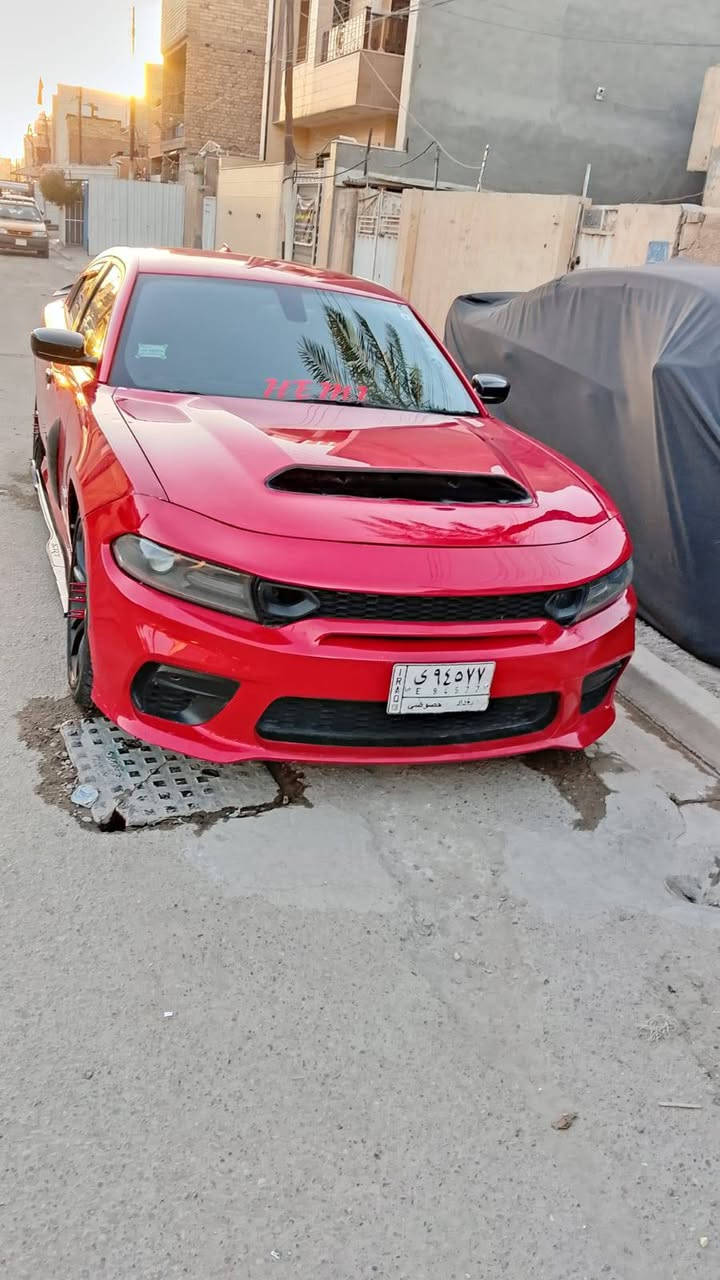 موديل 16 ارتي مكينه 5700 
سياره صور حادث بل منشور بنيد محدث وجاملغ قطعه وحده 
سياره مصروف عليه 
كت كامل وايت بدي 
بنيد مال دايمون
الحايه وسكوبات ودفايزر كله كابون فايبر 
داخل كاربون 
منظومه غاز ام السبير سعره 700الف 
منضجومه زنون 
دركه سعره 350$
سياره متعوب عليه وجاهزه من كلشي 
السعر 178 قفل
***********
