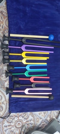 اعلى سعر • بالصوره