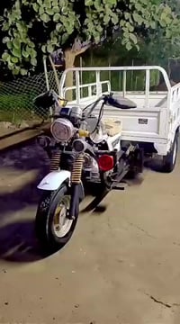 ستوته • دايون • ٢٠١٦