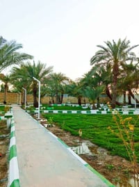 منتجع سياحي • ٢٤٥٠م • السديناوية