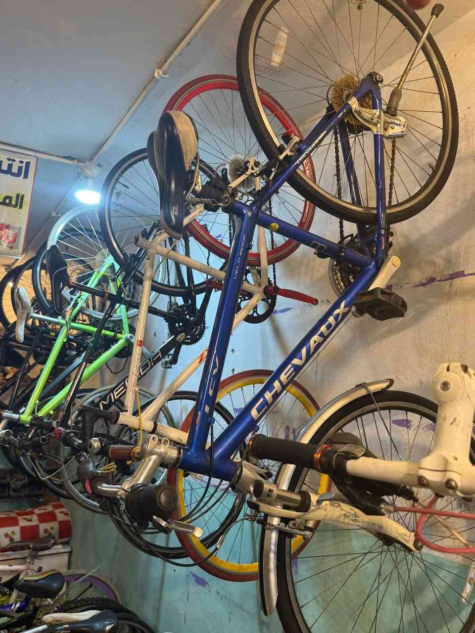 جملة فقط ‭***********‬
