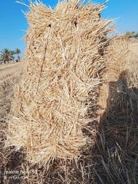 يوجد تبن حنطه درجه اوله استندر كبسه طوله متر كبس مظغوط ونظيف مال مرشات...