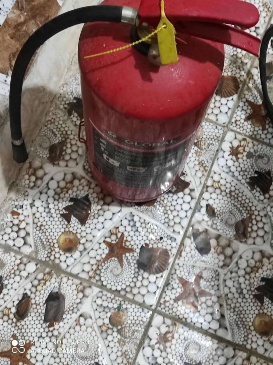 مكلف بالنشر
متاح عراض عجانه ب 200,000الف واطفائيه ب 22,000 الف وصواني مال فافون كل اثنين ب 15 وطوشوته مال ستيل كل اثنين ب 25 وطشوته مال فافون كل اثنين25 الف  وطاحونه مال بهارات ب 35الف واثنين براميل مال نفط ب 40,000 ألف فارغ
رقم صاحب الاغراض ***********
