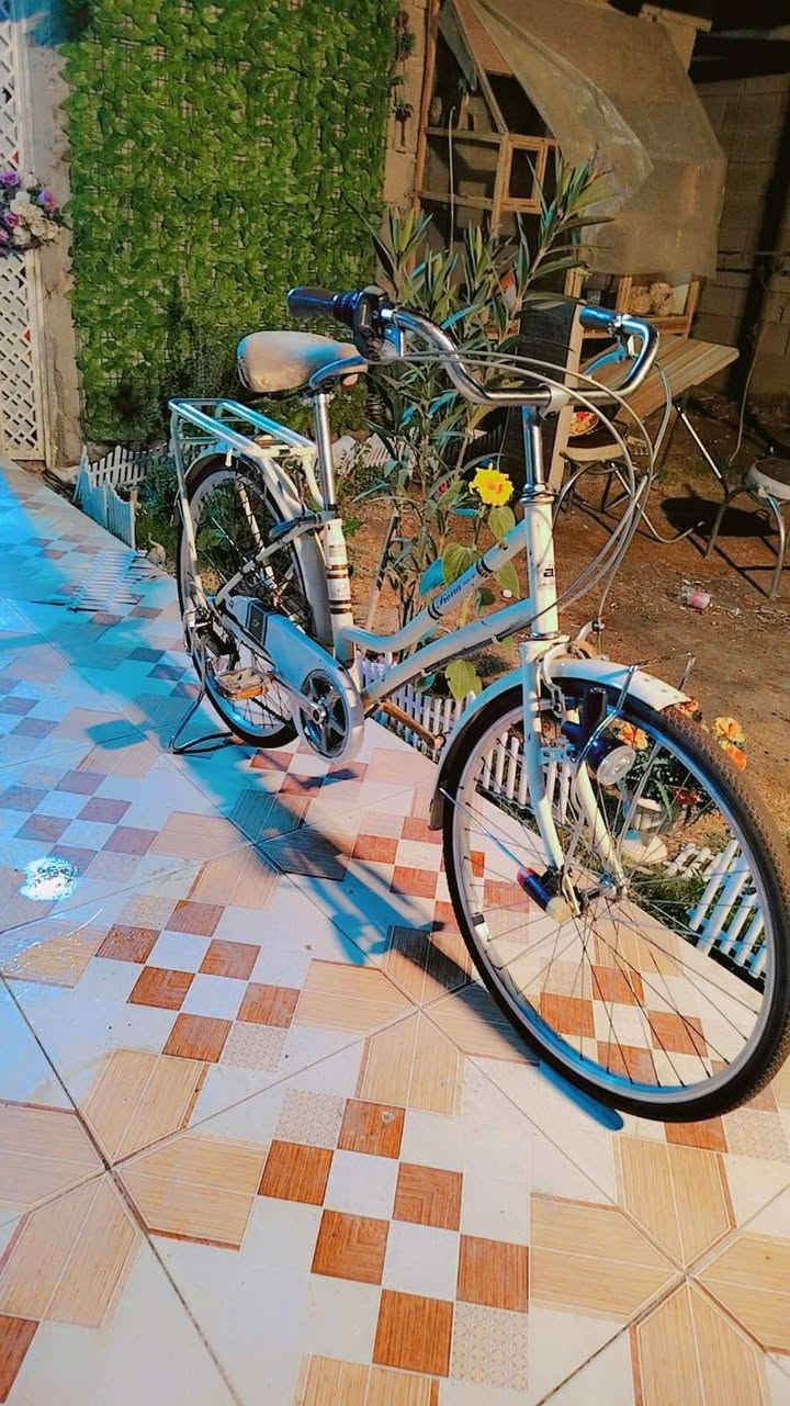 سلام عليكم بيسكل جديد حجم 24 كلوبات شغاله رقم الهاتف ***********
