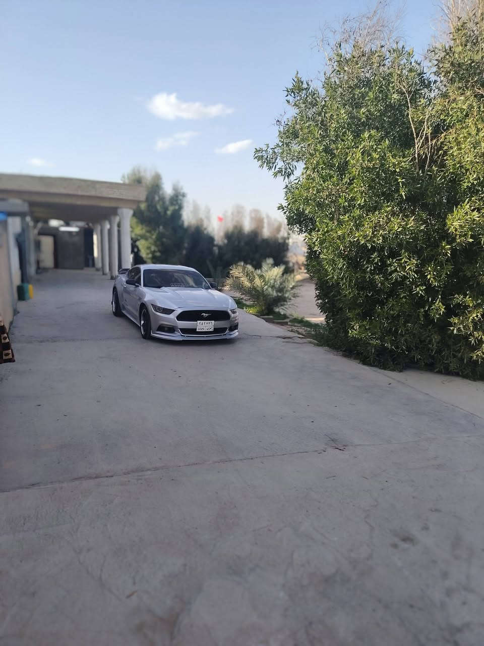 سلام عليكم للبيع اومراوس
بموستنك 2016 ايكو بوست
حادثه جاملغ امامي بدون دواخل 4قطع صبغ بدون حادث كفاله شواصي والغود ودواخل
سياره جاهزه مكينه جديده كير حداديه تخم تاير كل بشرط
تخم ويل ويلد اصلي لحايه سبايدر من هل الأمور هم بدون نقص شرط رقم سليمانيه وشرط تحويل
سعر 115 وبيه مجال
***********
