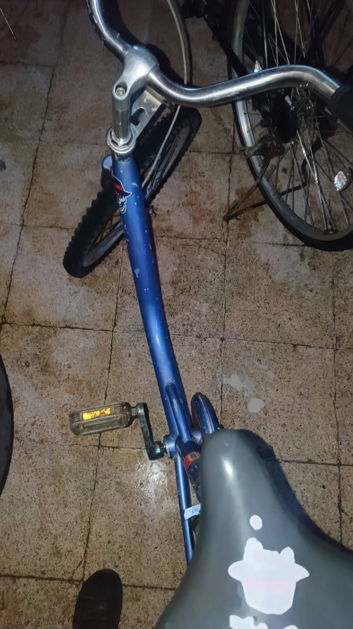 سلام عليكم
الحلال للبيع باسكل عبد الحليم تكسي حجم 20 الباسكل مال حاويه الباسكل نضيف غراضو كامله طفاريات وبريك كدام الباسكل كلشي مامبدل بيه الباسكل سعرو 45 وبي مجال خاص او رقمي ***********
